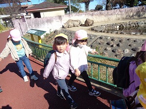 さい さい
