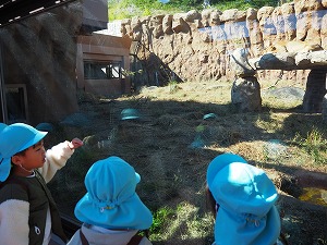 ライオン2 ライオン2