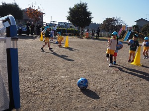 PB242073