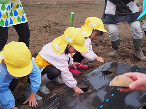 P2191835 P2191835