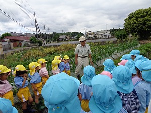 DSC05014 - コピー DSC05014 - コピー