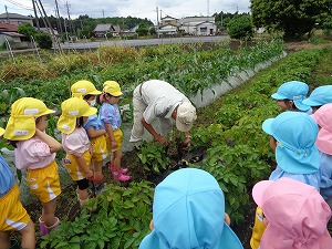 DSC05015 - コピー DSC05015 - コピー