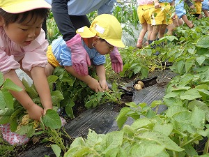 DSC05019 - コピー DSC05019 - コピー