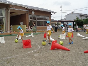 DSC05229 DSC05229