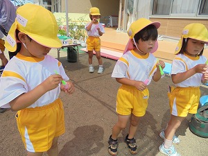 DSC01903 DSC01903