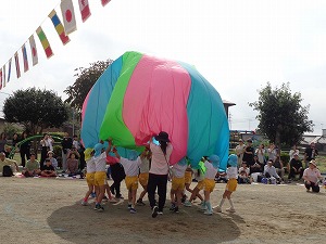 DSC06649 DSC06649