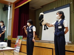 DSC03368 DSC03368