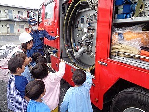 かもめ見学 かもめ見学