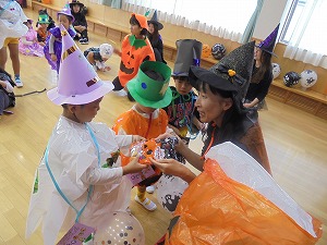 DSC02541 DSC02541