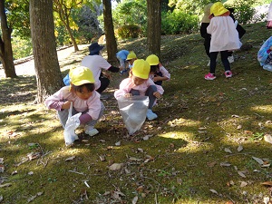 どんぐり2 どんぐり2