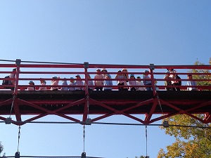 橋 橋