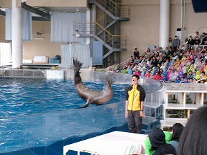 452_0796 452_0796