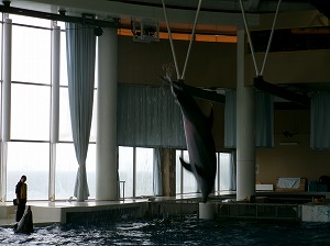452_0805 452_0805