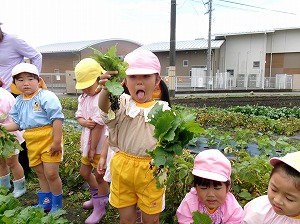 452_0860 452_0860