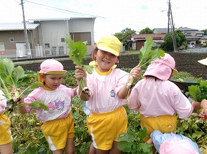 452_0863 452_0863