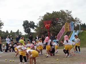 DSC00175 DSC00175