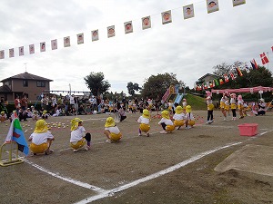 DSC00178 DSC00178