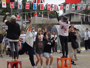 DSC00224 DSC00224
