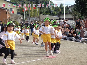 DSC00238 DSC00238