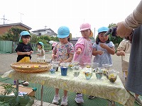 DSC03102