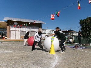 455_4423 455_4423