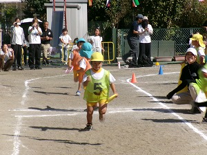 455_4461 455_4461