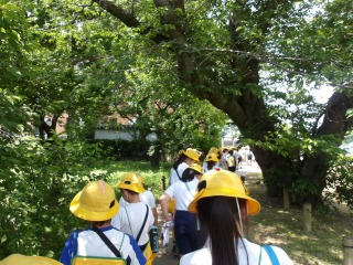 交流会-100_0334