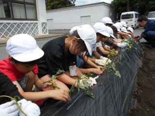 交流会-DSCN2513