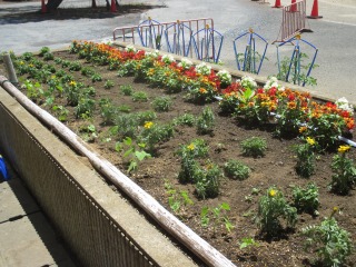 交流会-IMG_0096