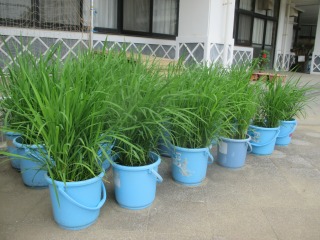 交流会-IMG_0315