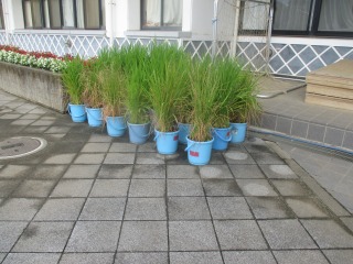 交流会-IMG_0453