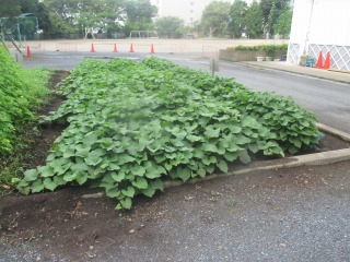 交流会-IMG_0457