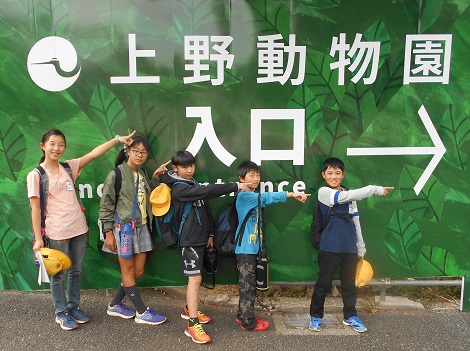 上野動物園はこっち? 上野動物園はこっち?