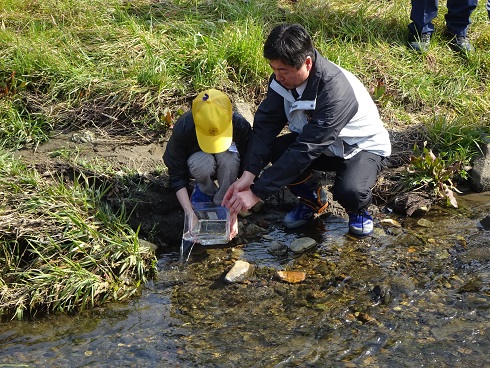 市長さんとサケの稚魚放流 市長さんとサケの稚魚放流