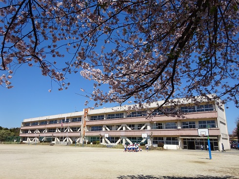 桜からの校舎