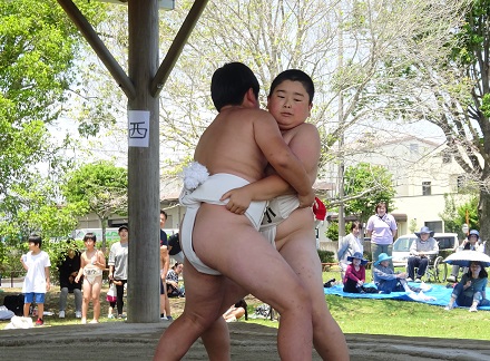 取り組みの様子 取り組みの様子