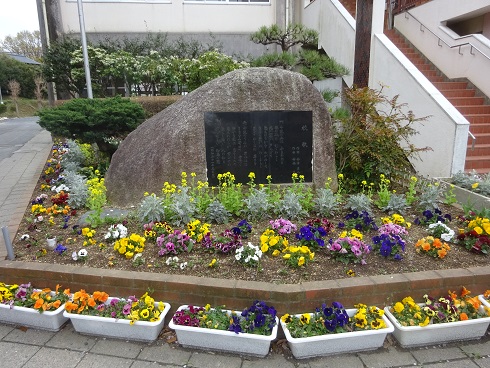 職員玄関前のお花 職員玄関前のお花