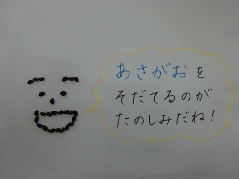 あさがお,みんなで育てよう あさがお,みんなで育てよう
