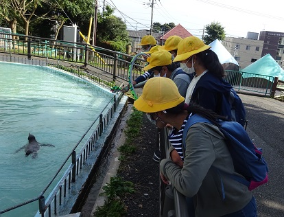 ペンギン泳ぐの早っ