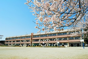 校舎と桜 校舎と桜