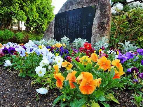 色とりどりの花 色とりどりの花