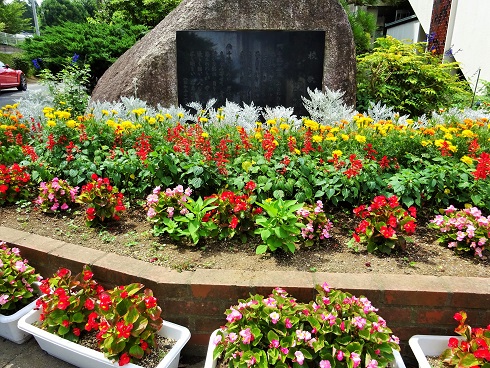花壇の花
