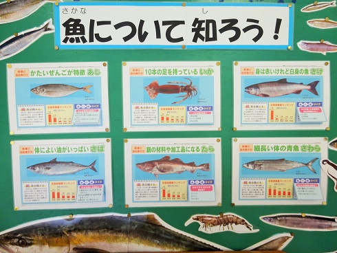 いろいろな特徴がありますね