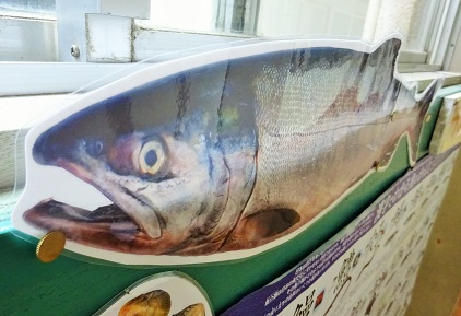 本物と同じ大きさです