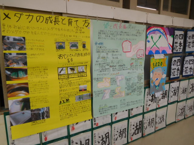 6年作品
