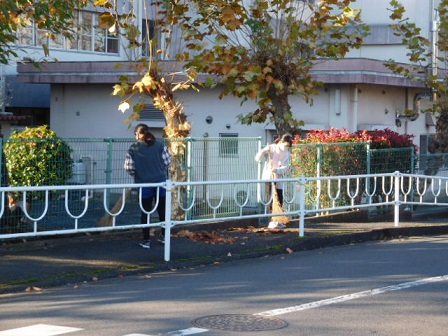 歩道まで落ち葉はき