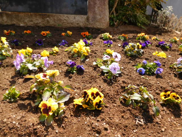 DSCN3253 DSCN3253