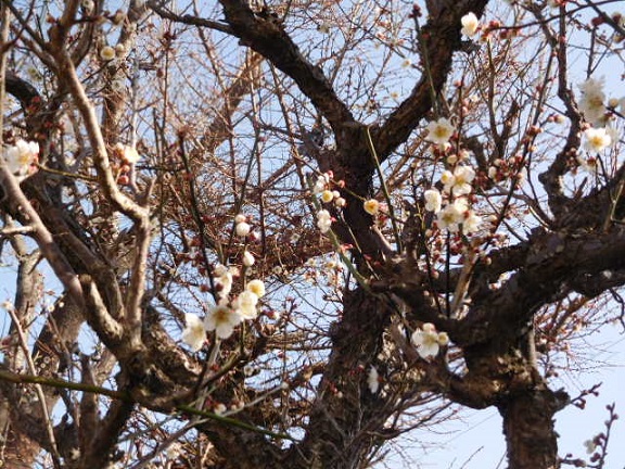 DSCN3262 DSCN3262