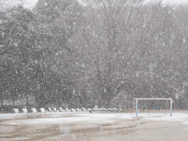 雪2 雪2