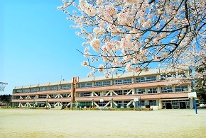 千波の桜とともに 千波の桜とともに
